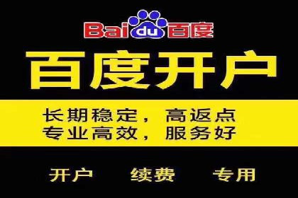 百度优化推广案例：打造高转化率网站